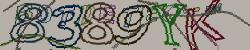 Retype the CAPTCHA code from the image