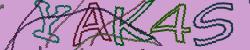 Retype the CAPTCHA code from the image