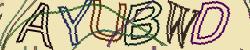 Retype the CAPTCHA code from the image