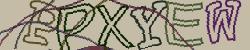 Retype the CAPTCHA code from the image