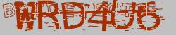 Retype the CAPTCHA code from the image