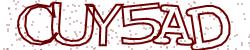Retype the CAPTCHA code from the image