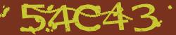 Retype the CAPTCHA code from the image