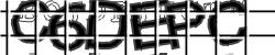 Retype the CAPTCHA code from the image