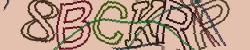 Retype the CAPTCHA code from the image