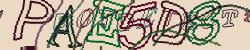 Retype the CAPTCHA code from the image
