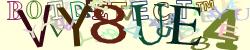 Retype the CAPTCHA code from the image