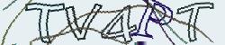 Retype the CAPTCHA code from the image