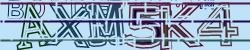 Retype the CAPTCHA code from the image