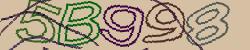 Retype the CAPTCHA code from the image