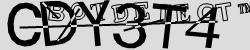 Retype the CAPTCHA code from the image