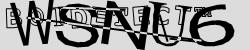 Retype the CAPTCHA code from the image