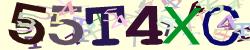 Retype the CAPTCHA code from the image