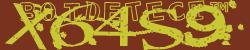 Retype the CAPTCHA code from the image
