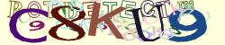 Retype the CAPTCHA code from the image