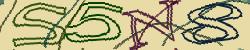 Retype the CAPTCHA code from the image