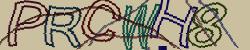 Retype the CAPTCHA code from the image