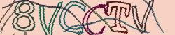 Retype the CAPTCHA code from the image