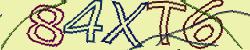 Retype the CAPTCHA code from the image