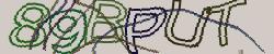 Retype the CAPTCHA code from the image