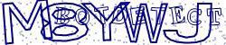 Retype the CAPTCHA code from the image