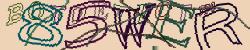 Retype the CAPTCHA code from the image