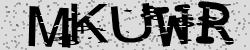 Retype the CAPTCHA code from the image