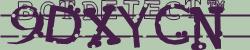 Retype the CAPTCHA code from the image