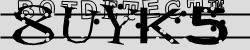 Retype the CAPTCHA code from the image