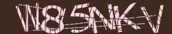 Retype the CAPTCHA code from the image