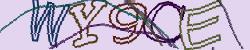 Retype the CAPTCHA code from the image